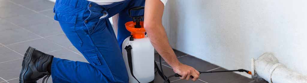 Pest And Building Inspection Brisbane | Call (07) 3073 9245